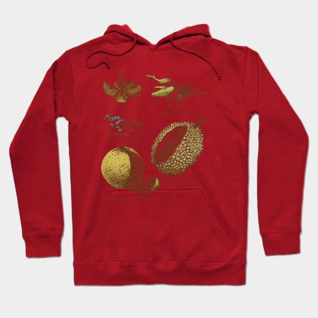 Clockwork Fruit Hoodie by ANTICLOTHESdotCOM